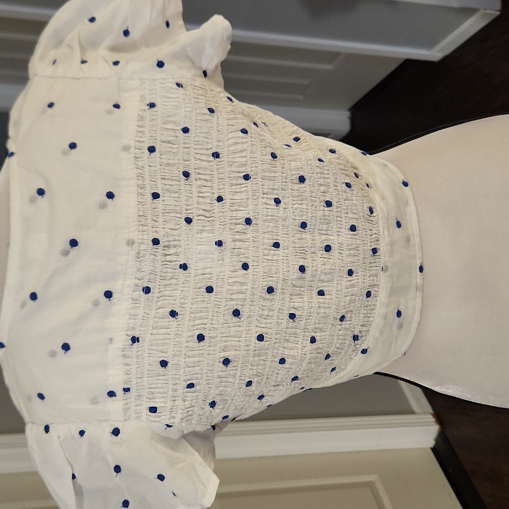 NWT American Eagle Blue Polka Dot Frot Tie Crop Top - Picture 5 of 6